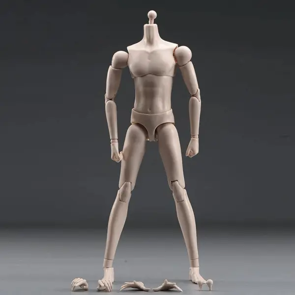 1/6 Male Flexible Articulated Body Model