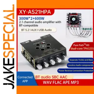 AS21HPA Stereo Digital Amplifier 300W Channel